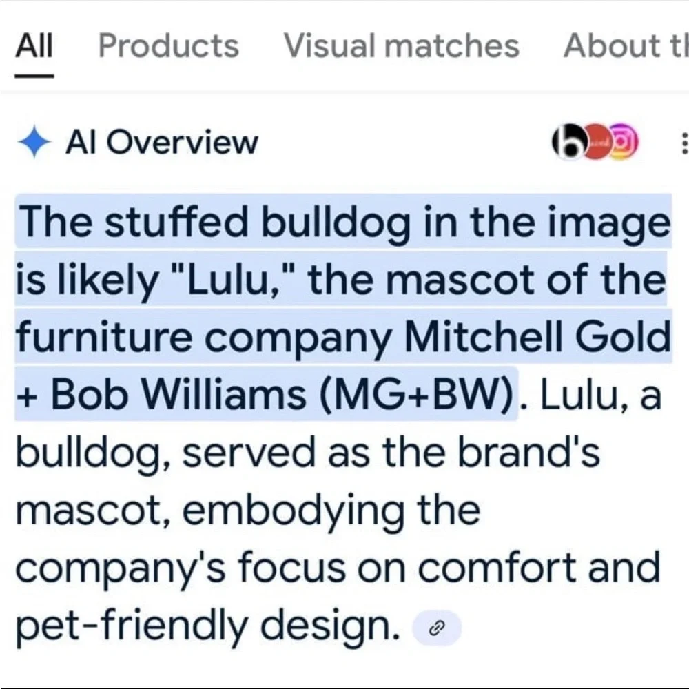 RARE Mitchell Gold + Bob Williams Lulu Bulldog Mascot Plush Dog Stuffed Animal - Picture 7 of 9